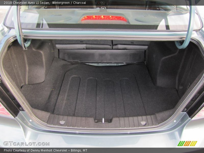 Wintergreen / Charcoal 2010 Chevrolet Aveo LS Sedan