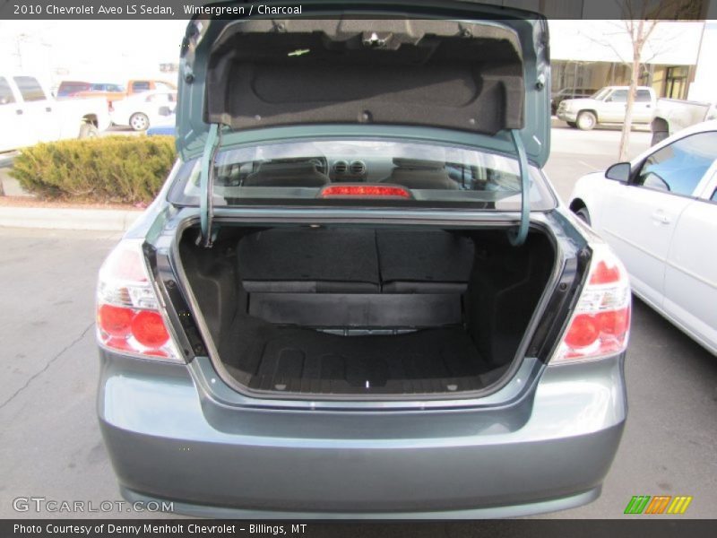 Wintergreen / Charcoal 2010 Chevrolet Aveo LS Sedan
