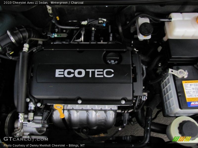 Wintergreen / Charcoal 2010 Chevrolet Aveo LS Sedan