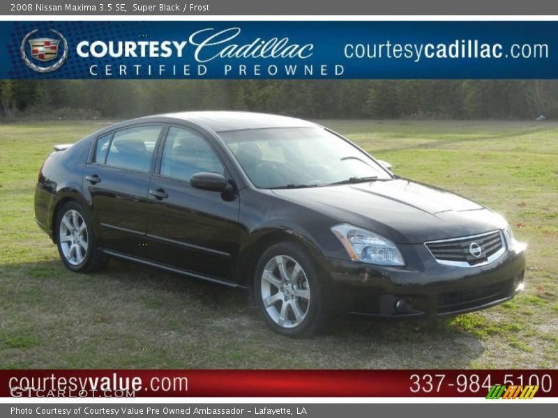 Super Black / Frost 2008 Nissan Maxima 3.5 SE