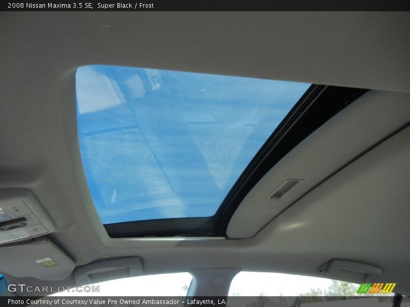 Super Black / Frost 2008 Nissan Maxima 3.5 SE