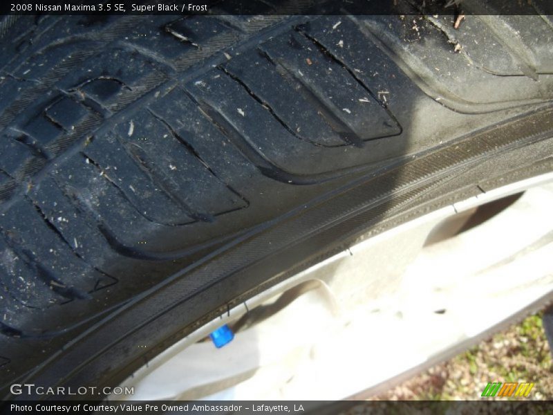 Super Black / Frost 2008 Nissan Maxima 3.5 SE
