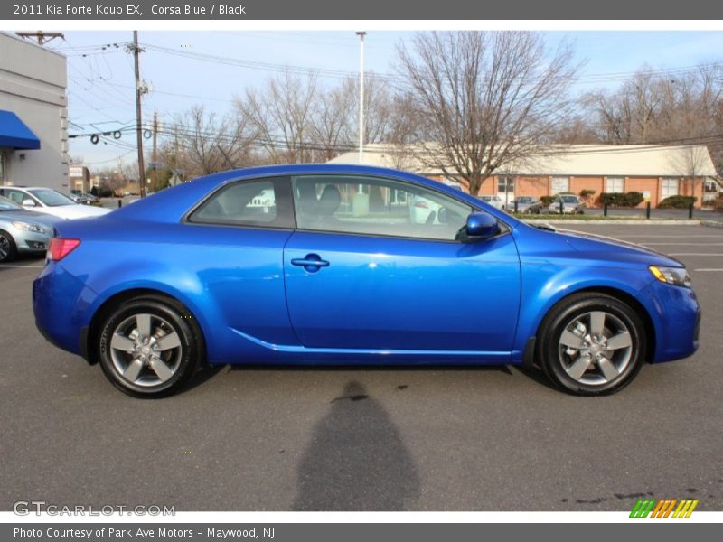  2011 Forte Koup EX Corsa Blue