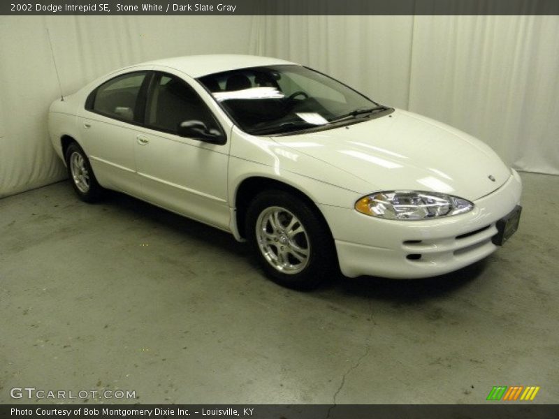 Stone White / Dark Slate Gray 2002 Dodge Intrepid SE