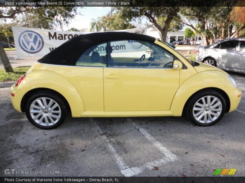 Sunflower Yellow / Black 2008 Volkswagen New Beetle SE Convertible
