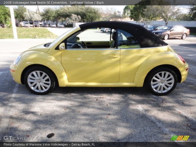 Sunflower Yellow / Black 2008 Volkswagen New Beetle SE Convertible