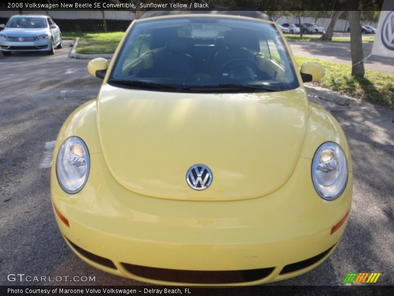 Sunflower Yellow / Black 2008 Volkswagen New Beetle SE Convertible