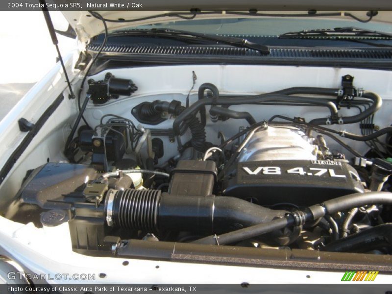 Natural White / Oak 2004 Toyota Sequoia SR5