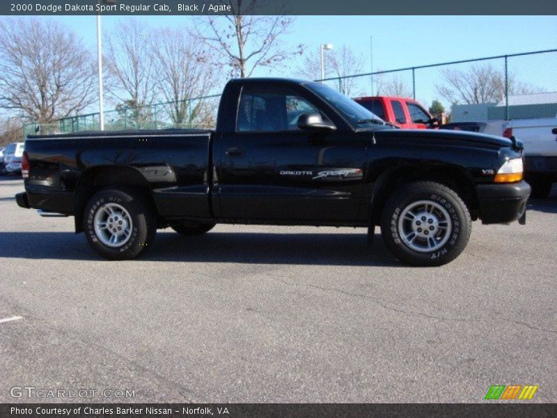 Black / Agate 2000 Dodge Dakota Sport Regular Cab