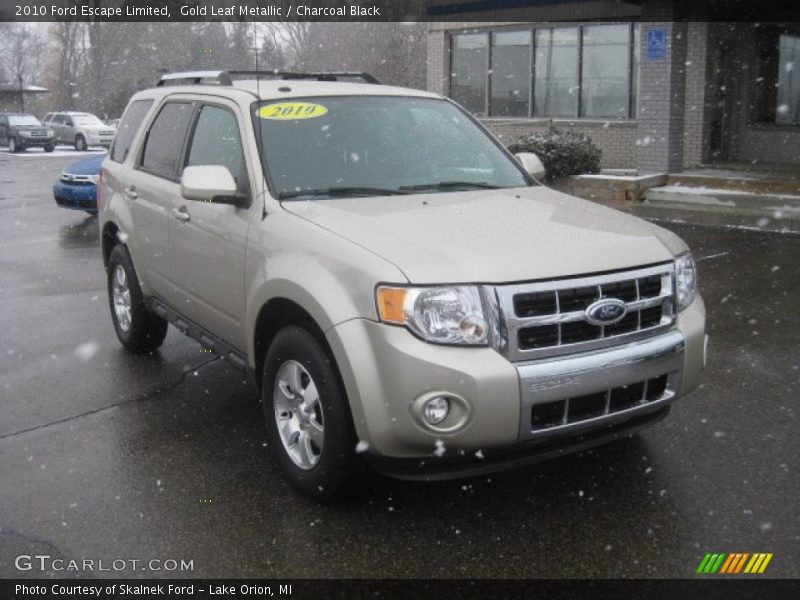 Gold Leaf Metallic / Charcoal Black 2010 Ford Escape Limited
