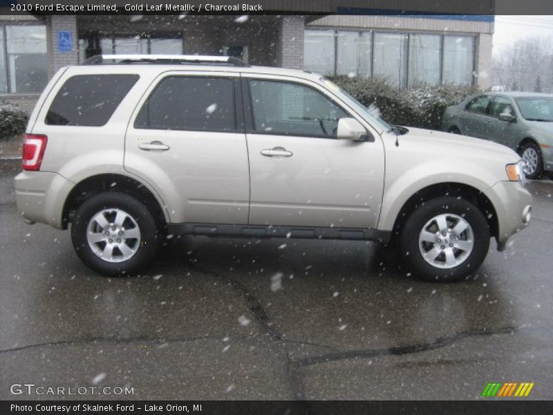 Gold Leaf Metallic / Charcoal Black 2010 Ford Escape Limited
