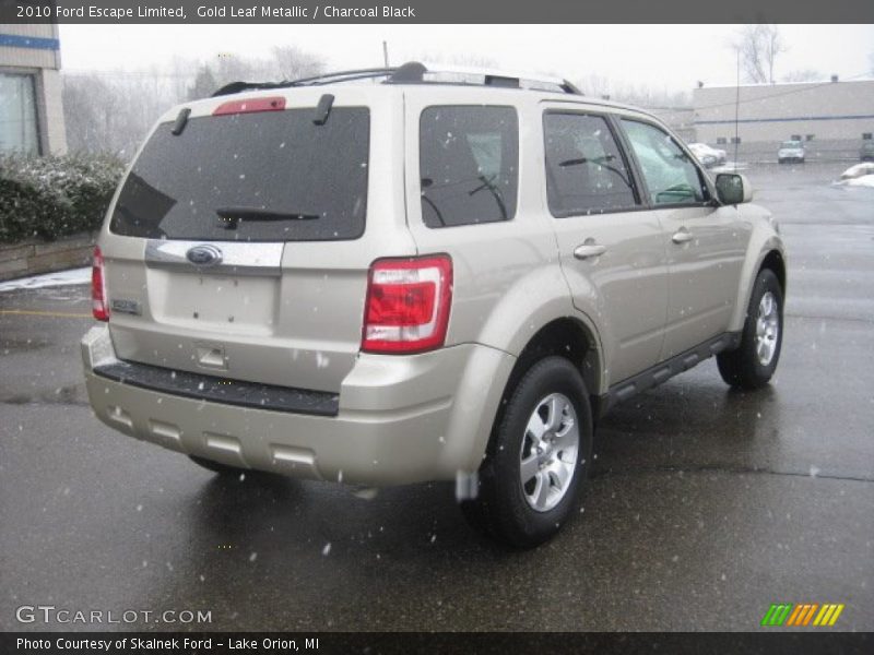 Gold Leaf Metallic / Charcoal Black 2010 Ford Escape Limited