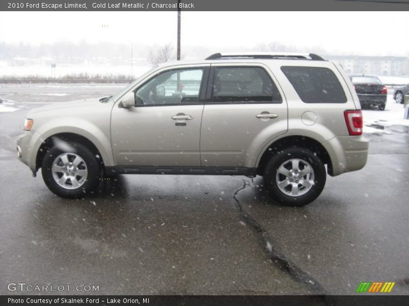 Gold Leaf Metallic / Charcoal Black 2010 Ford Escape Limited