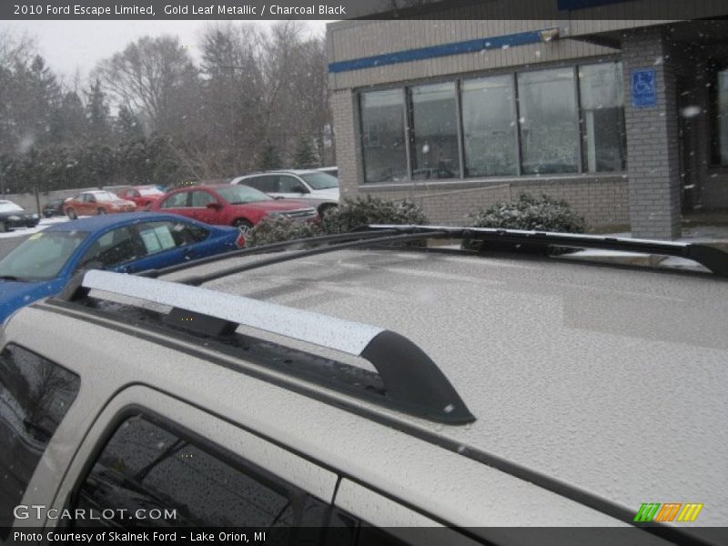 Gold Leaf Metallic / Charcoal Black 2010 Ford Escape Limited