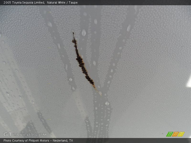 Natural White / Taupe 2005 Toyota Sequoia Limited