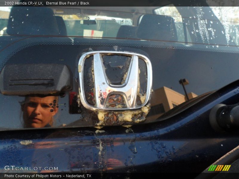 Eternal Blue Pearl / Black 2002 Honda CR-V LX