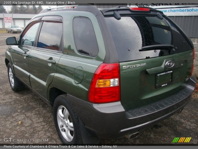 Natural Olive / Black 2005 Kia Sportage EX 4WD