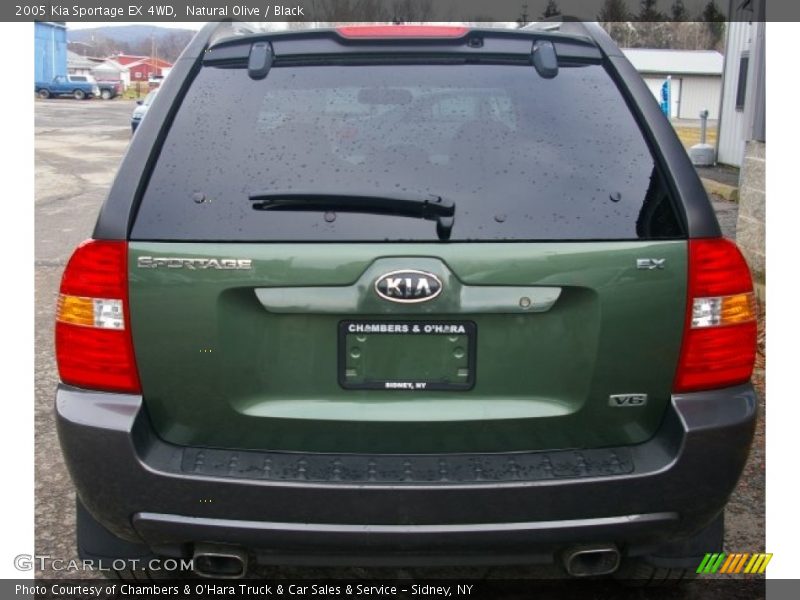 Natural Olive / Black 2005 Kia Sportage EX 4WD