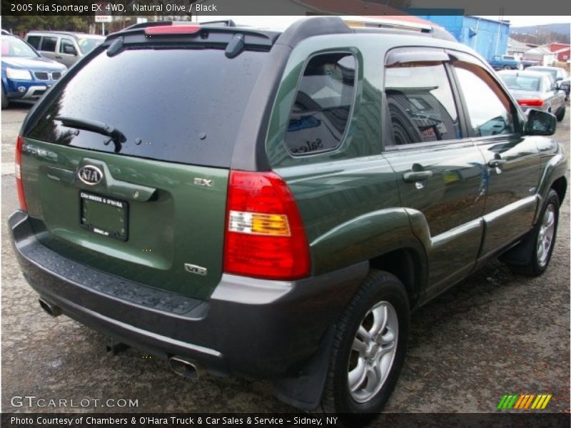 Natural Olive / Black 2005 Kia Sportage EX 4WD