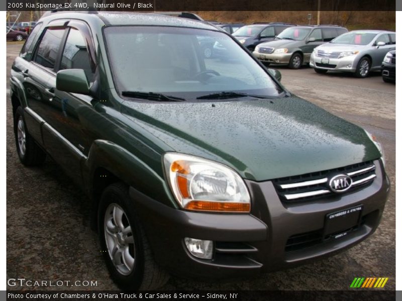 Natural Olive / Black 2005 Kia Sportage EX 4WD