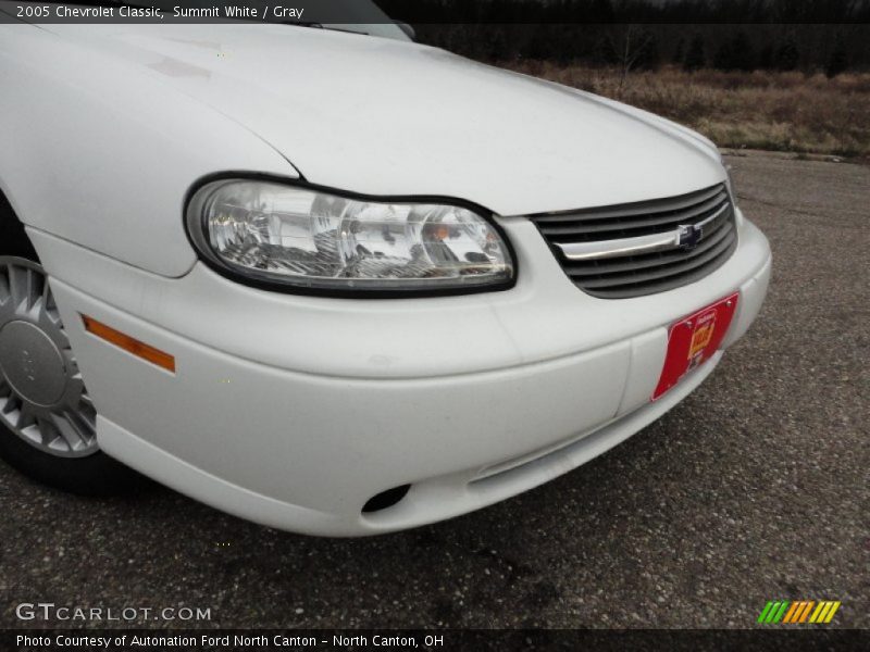 Summit White / Gray 2005 Chevrolet Classic