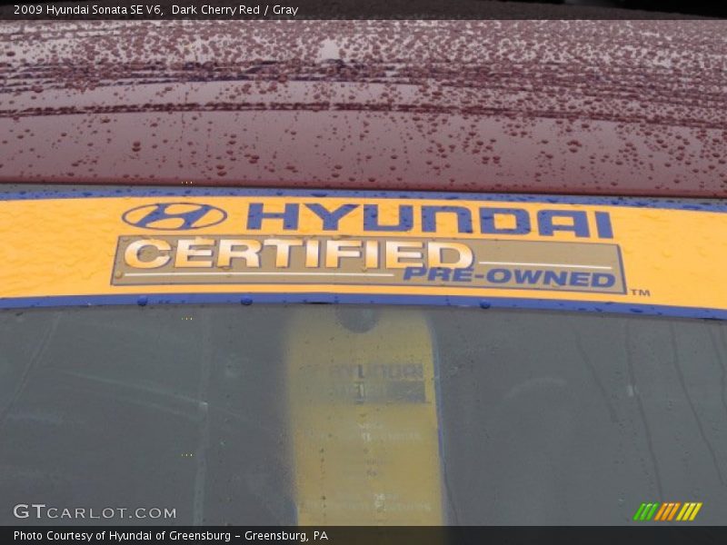 Dark Cherry Red / Gray 2009 Hyundai Sonata SE V6
