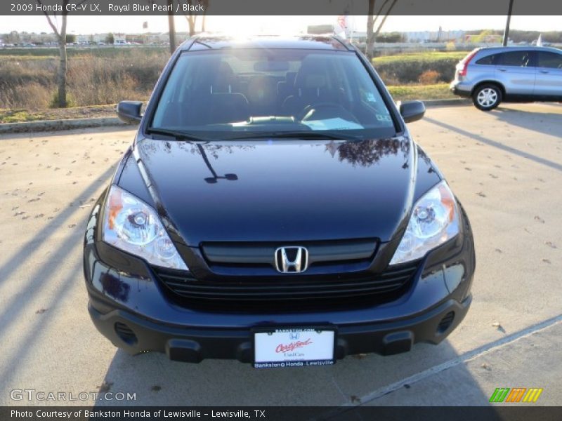 Royal Blue Pearl / Black 2009 Honda CR-V LX