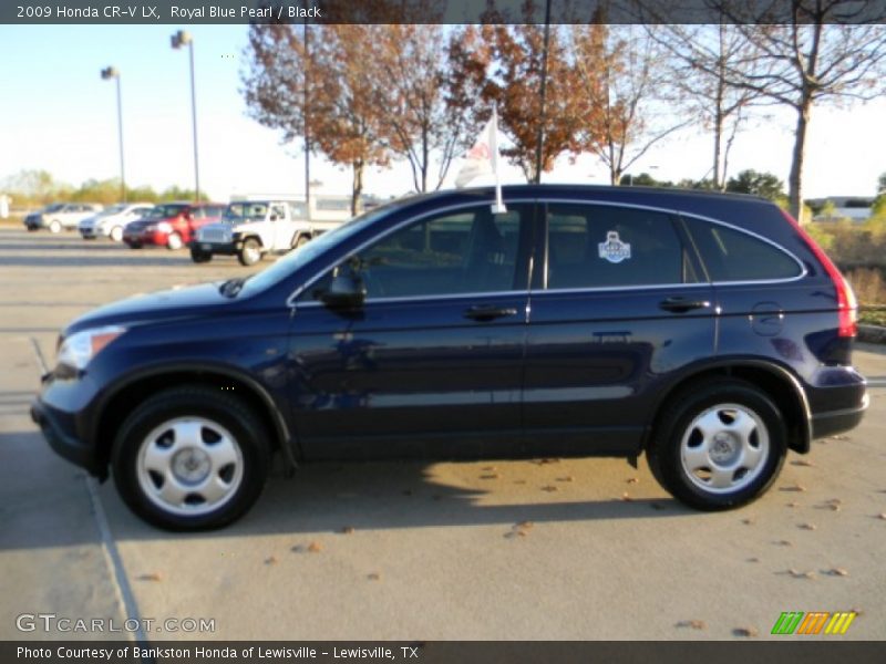 Royal Blue Pearl / Black 2009 Honda CR-V LX