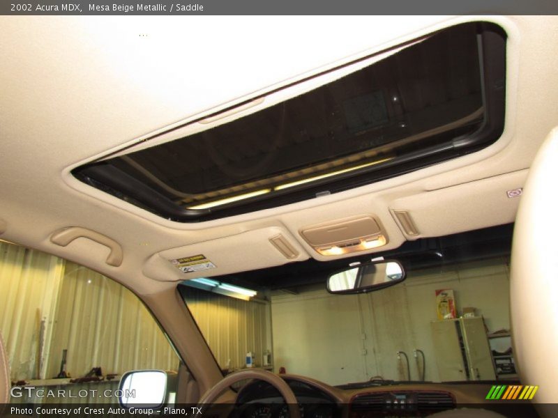 Mesa Beige Metallic / Saddle 2002 Acura MDX