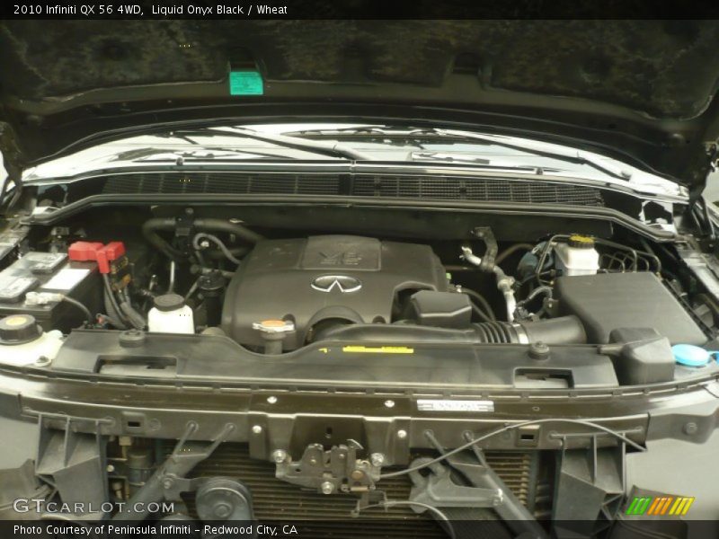 Liquid Onyx Black / Wheat 2010 Infiniti QX 56 4WD