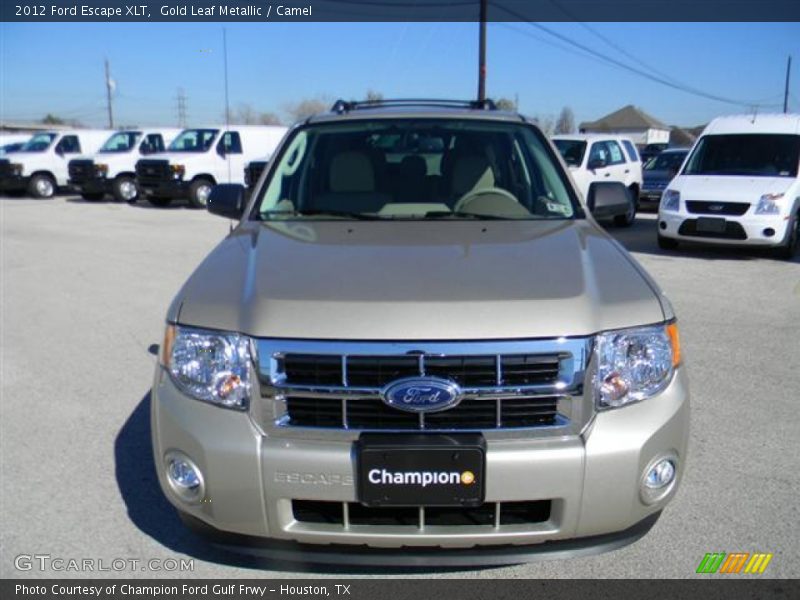 Gold Leaf Metallic / Camel 2012 Ford Escape XLT