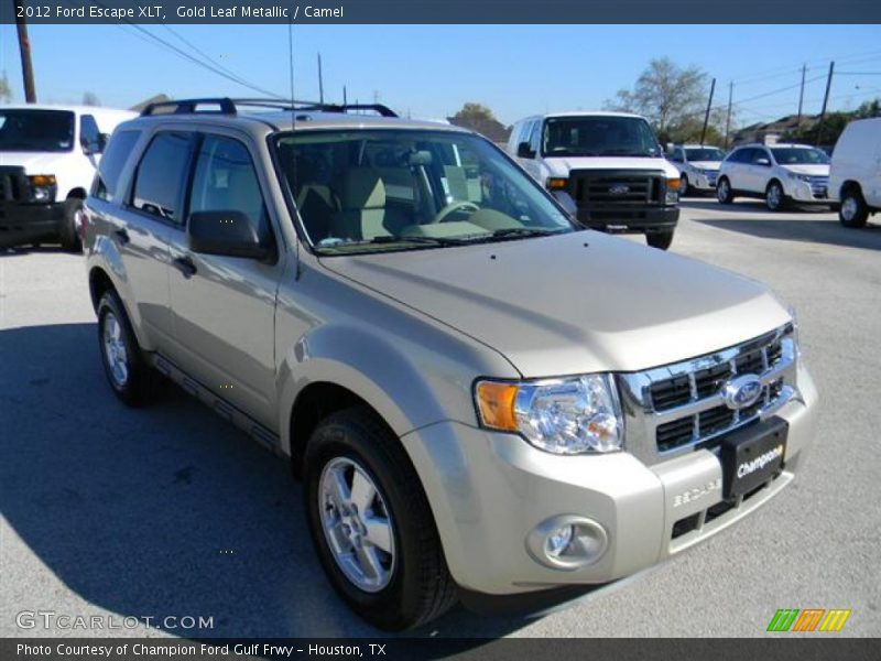 Gold Leaf Metallic / Camel 2012 Ford Escape XLT