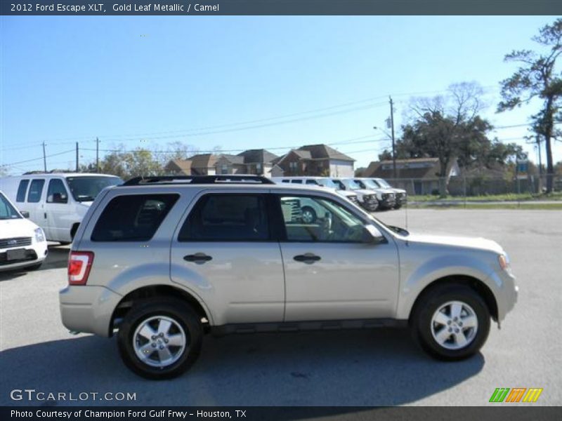 Gold Leaf Metallic / Camel 2012 Ford Escape XLT