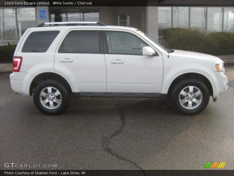 White Suede / Charcoal 2009 Ford Escape Limited