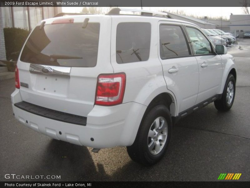 White Suede / Charcoal 2009 Ford Escape Limited