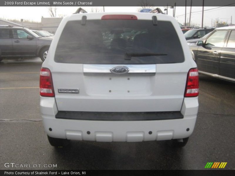 White Suede / Charcoal 2009 Ford Escape Limited