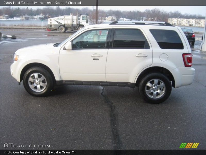 White Suede / Charcoal 2009 Ford Escape Limited