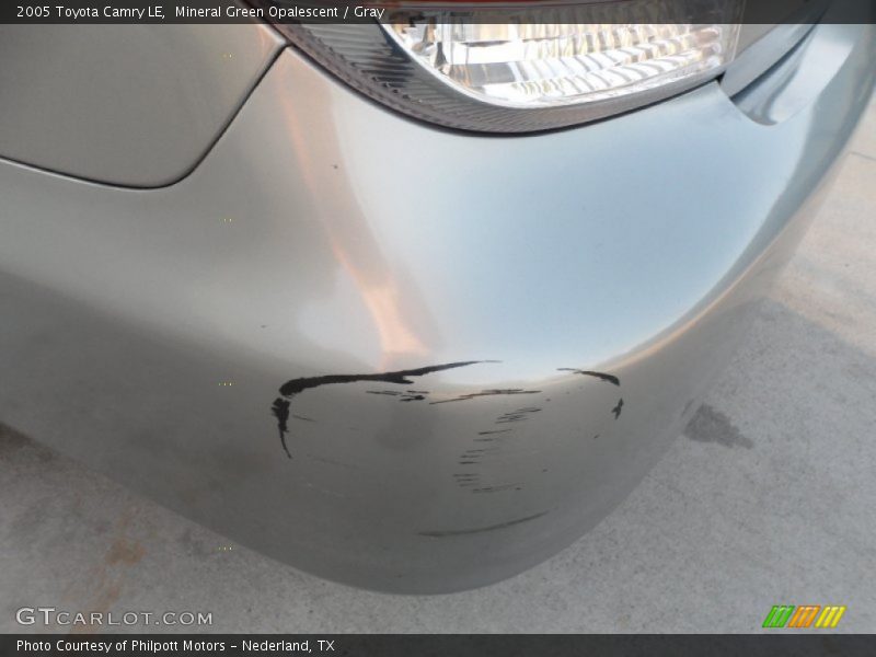 Mineral Green Opalescent / Gray 2005 Toyota Camry LE