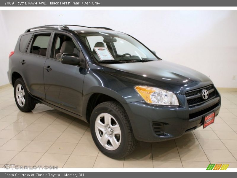 Black Forest Pearl / Ash Gray 2009 Toyota RAV4 4WD