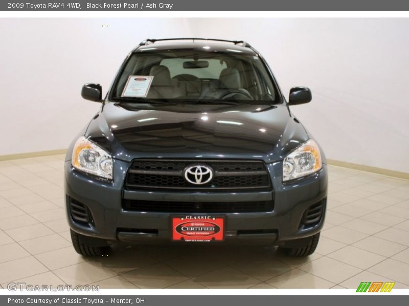 Black Forest Pearl / Ash Gray 2009 Toyota RAV4 4WD