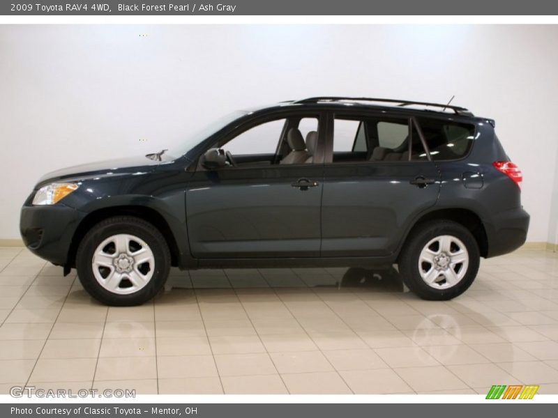 Black Forest Pearl / Ash Gray 2009 Toyota RAV4 4WD