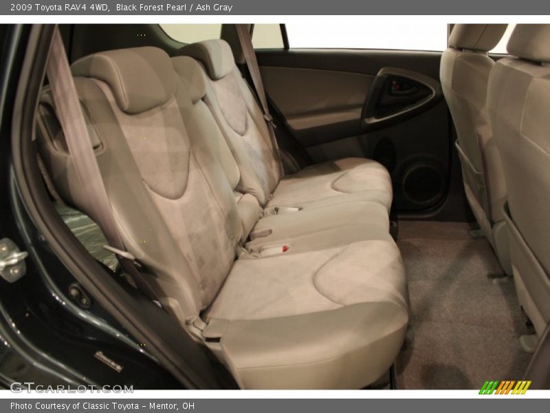 Black Forest Pearl / Ash Gray 2009 Toyota RAV4 4WD