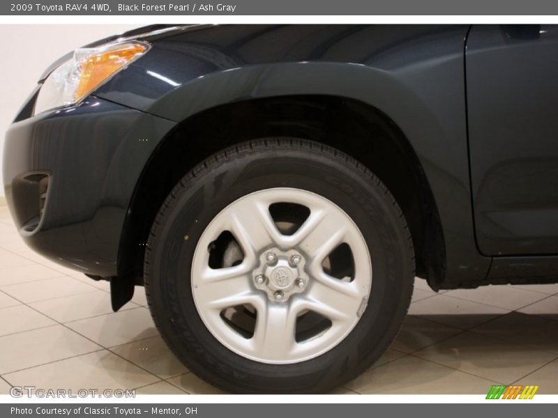 Black Forest Pearl / Ash Gray 2009 Toyota RAV4 4WD