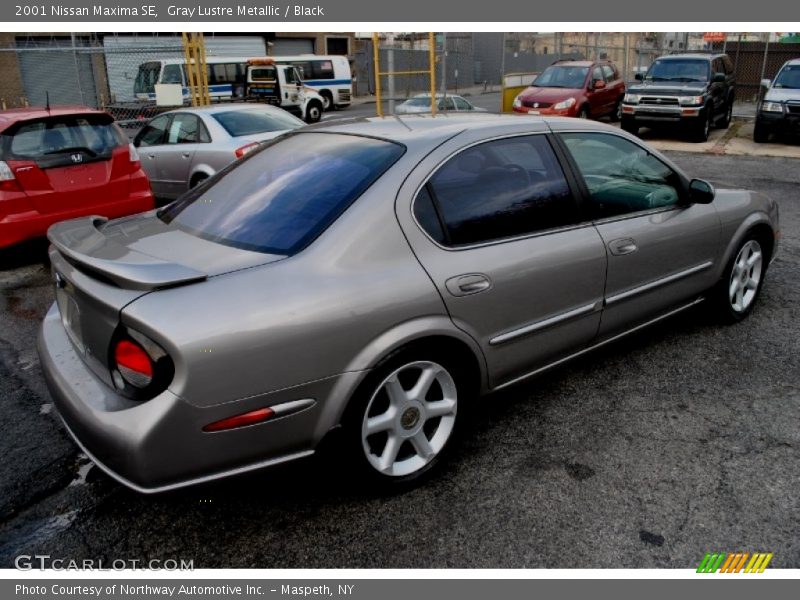 Gray Lustre Metallic / Black 2001 Nissan Maxima SE