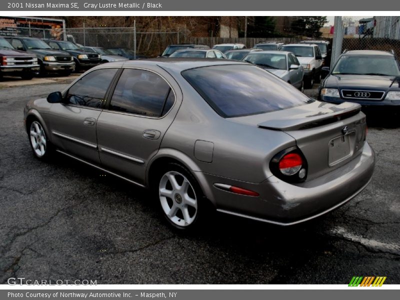 Gray Lustre Metallic / Black 2001 Nissan Maxima SE