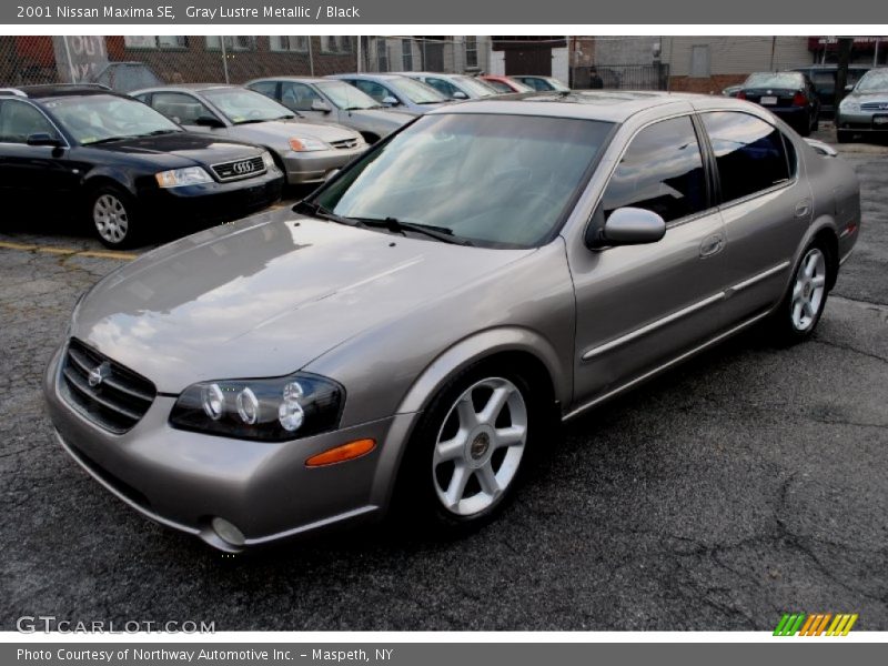 Gray Lustre Metallic / Black 2001 Nissan Maxima SE