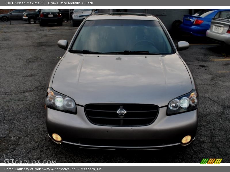 Gray Lustre Metallic / Black 2001 Nissan Maxima SE