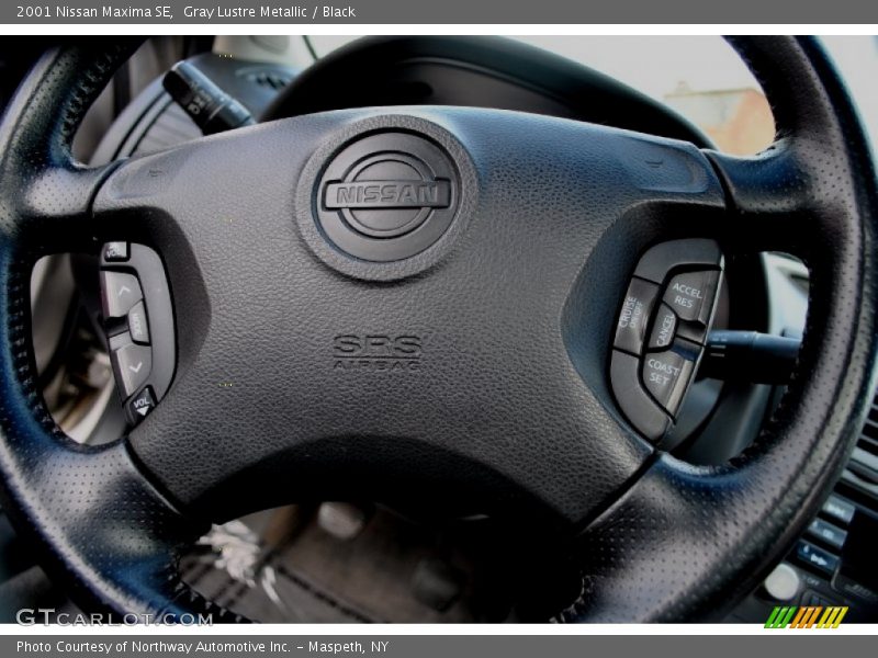 Gray Lustre Metallic / Black 2001 Nissan Maxima SE