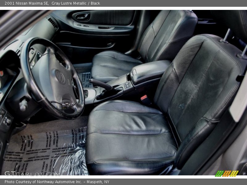 Gray Lustre Metallic / Black 2001 Nissan Maxima SE