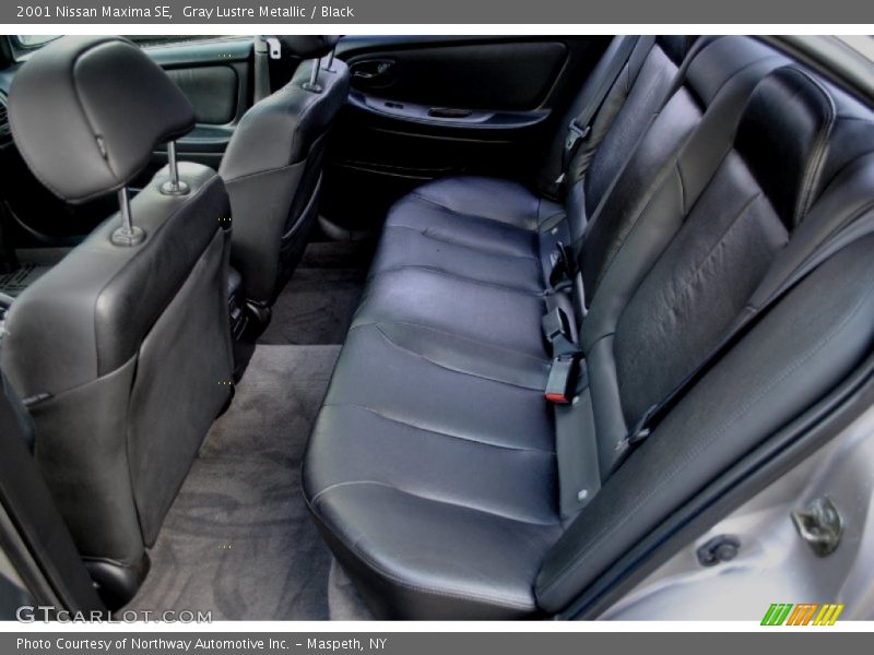 Gray Lustre Metallic / Black 2001 Nissan Maxima SE